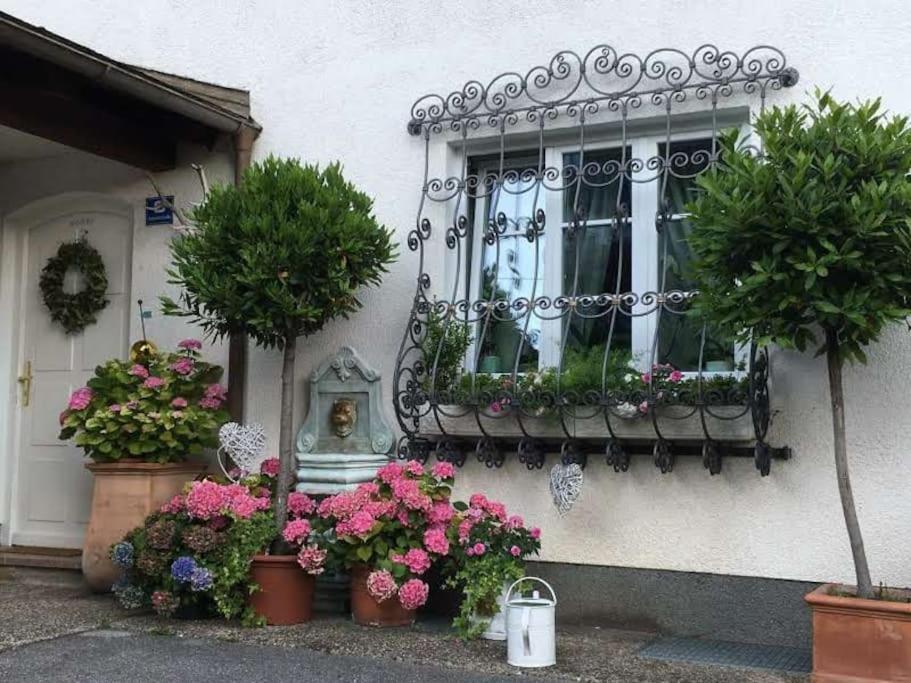 Dachwohnung Mit Seeblick Altmuenster Bagian luar foto